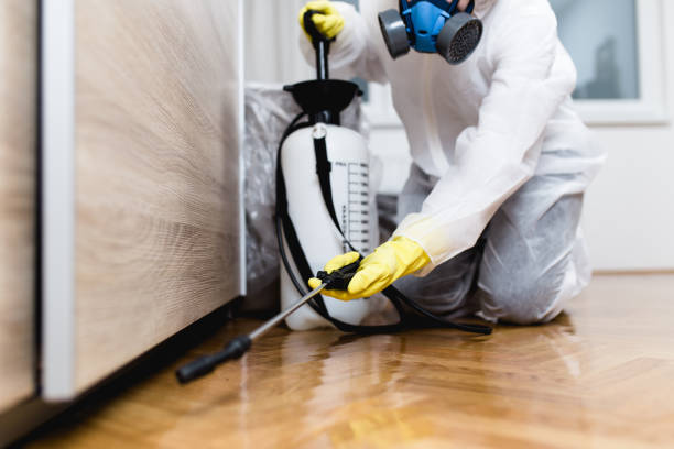 Trusted St James City, FL Pest Control Experts