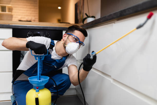 Best Bed Bug Extermination  in St James City, FL