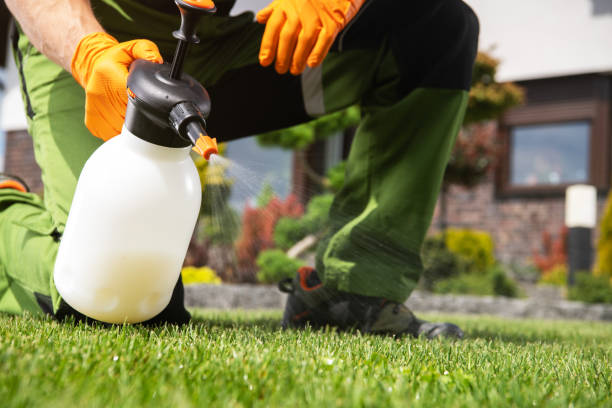 Best Bird Control  in St James City, FL