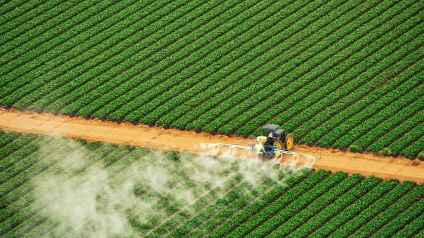 Best Mosquito Control Services  in St James City, FL